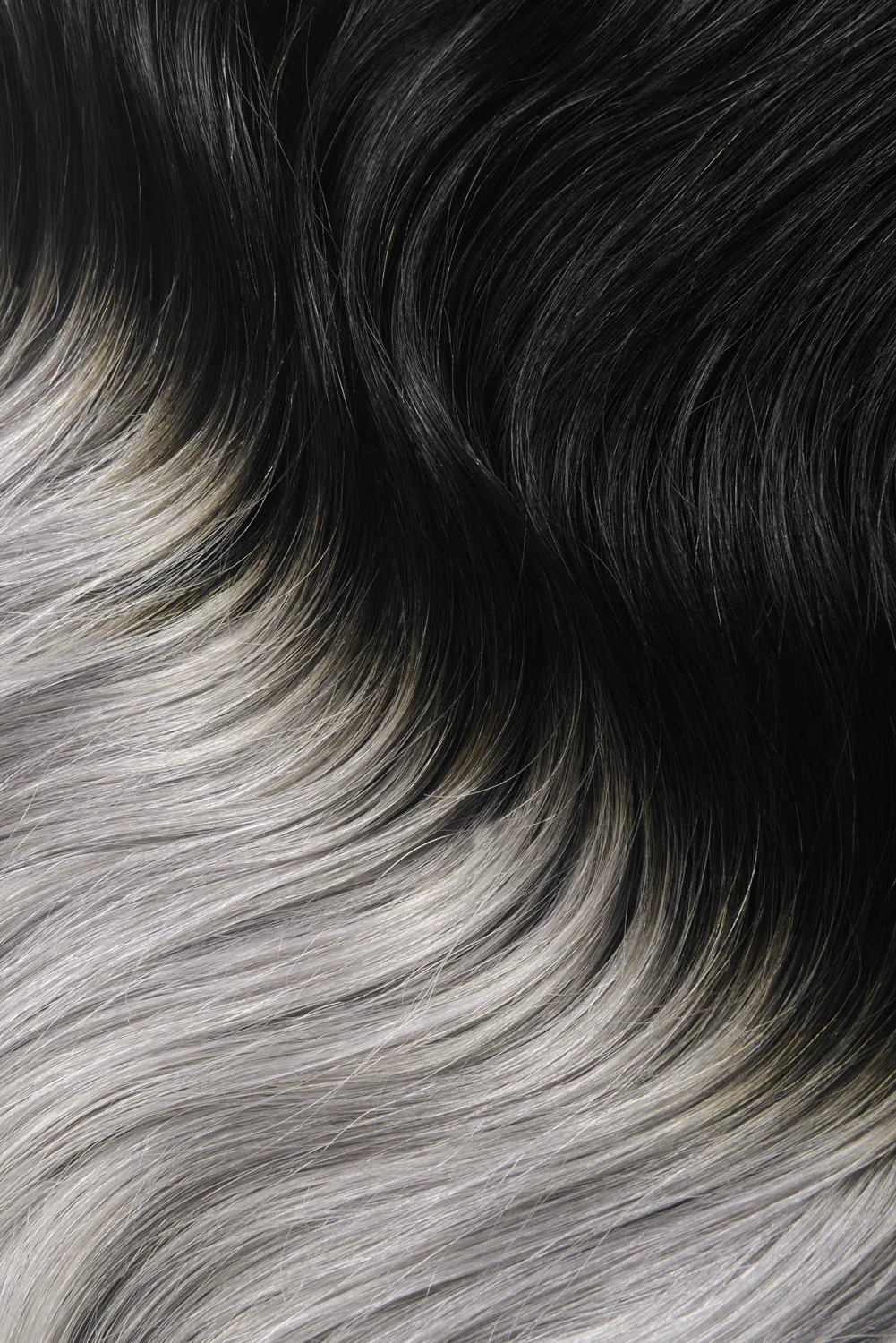 Silver Black Ombre (#T1B/SG) One Piece Clip In Hair Extensions (Top-Up) - Image 2